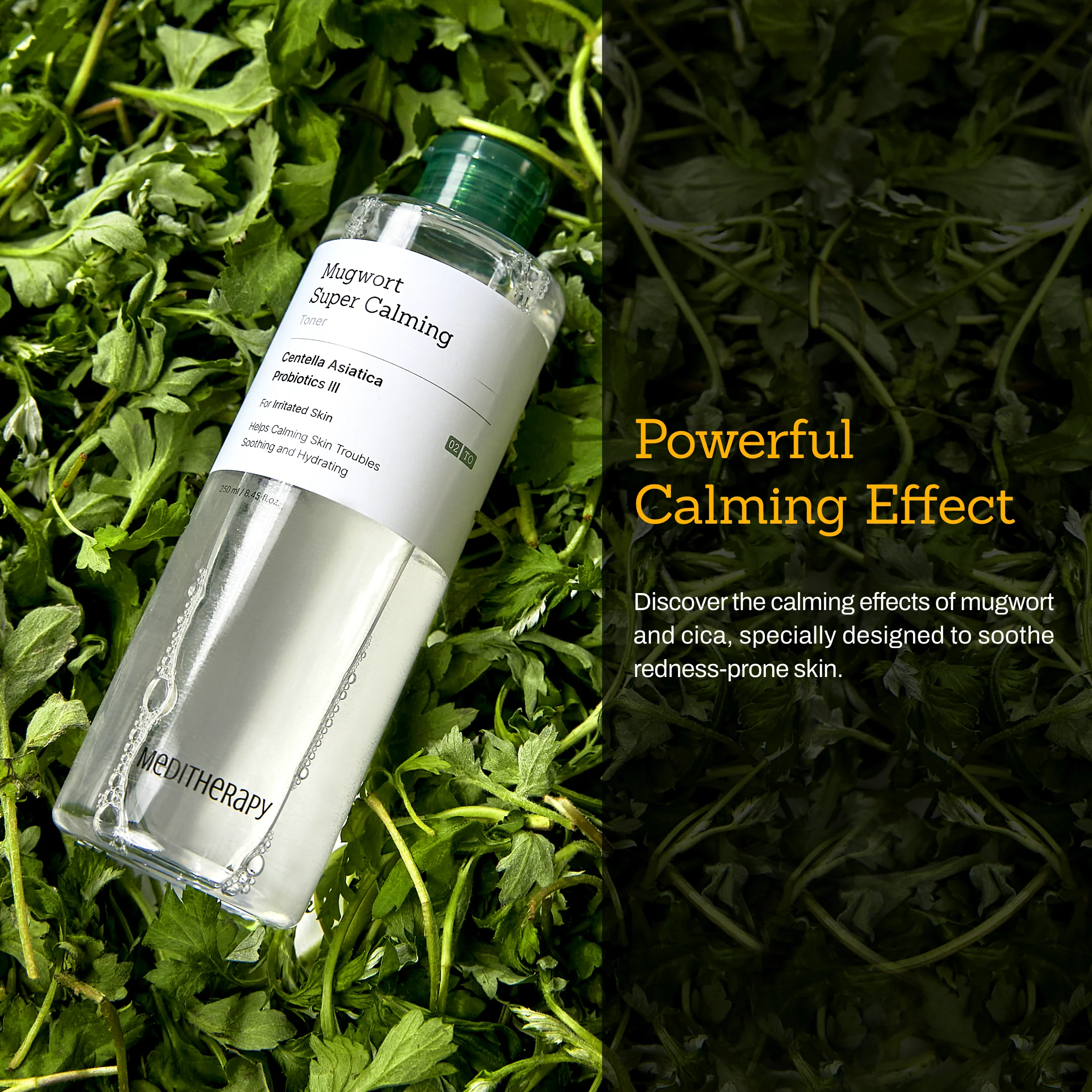 [30% off on Amazon] Mugwort Super Calming Toner - Image 2